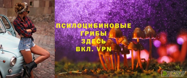 a pvp Абинск
