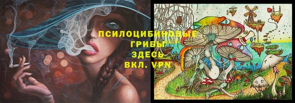 PSILOCYBIN Алексеевка