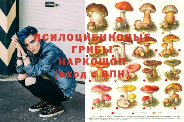 метадон Абаза