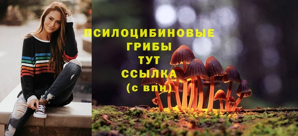 spice Алзамай