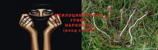 spice Алзамай