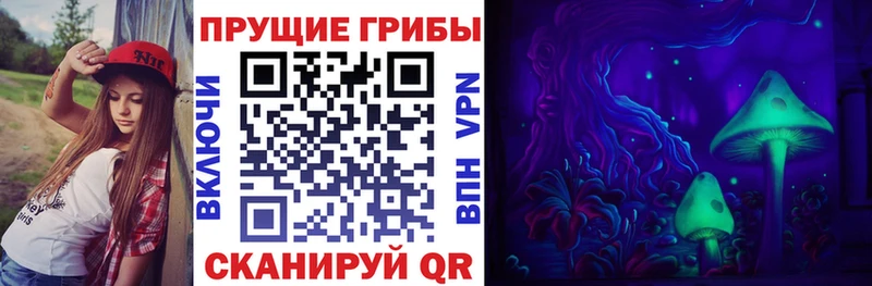 Галлюциногенные грибы GOLDEN TEACHER  mega вход  Чегем 
